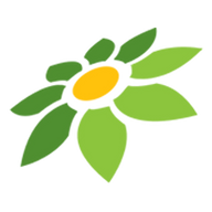 PIXEL MOD APK